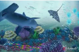 k·yun新网站登录下载app2024最新版